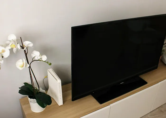 Apartman Pidal - Pleno Centro De Oviedo